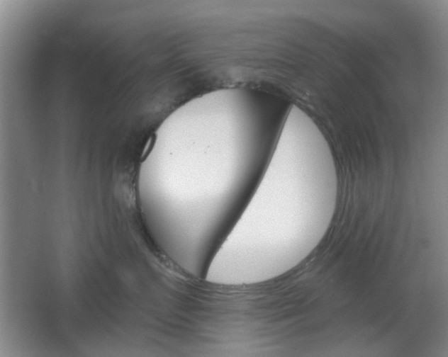 X0000064760719200602101027