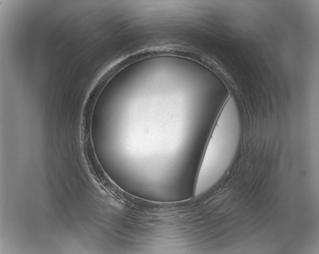 X0000064760724200602101027