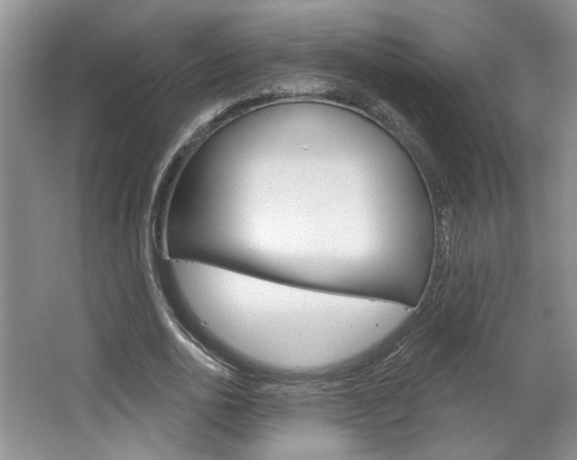 X0000064760726200602101027