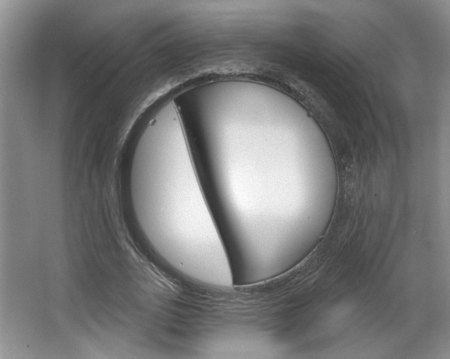 X0000064760727200602101027
