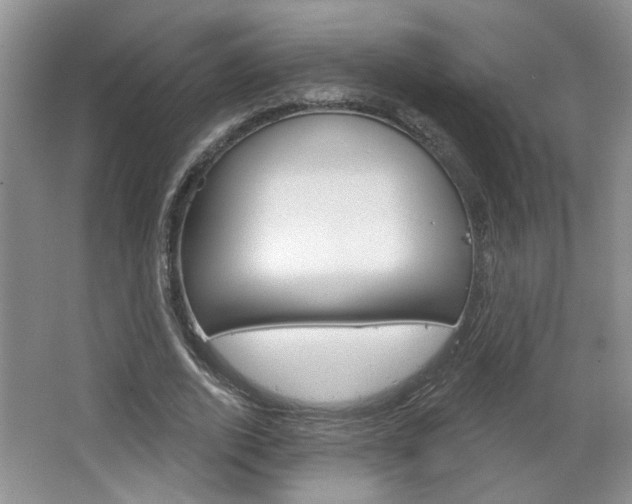 X0000064760728200602101027