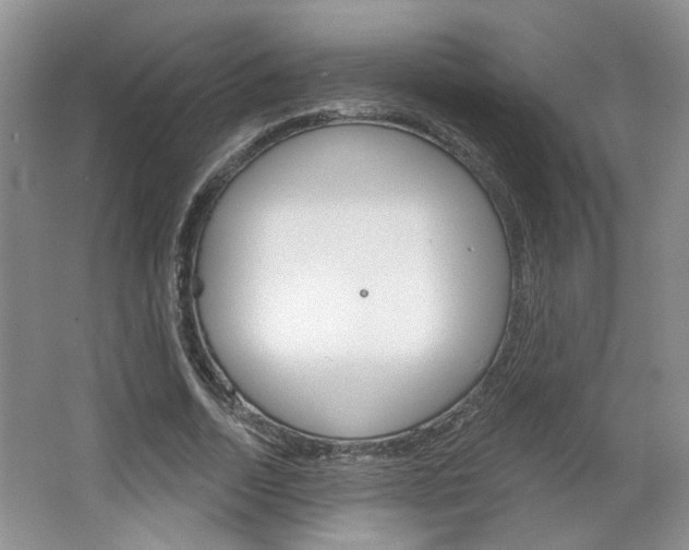 X0000064760730200602101027