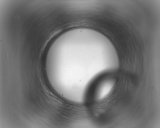 X0000064760731200602101027