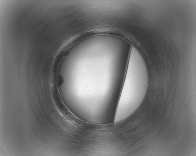 X0000064760732200602101027