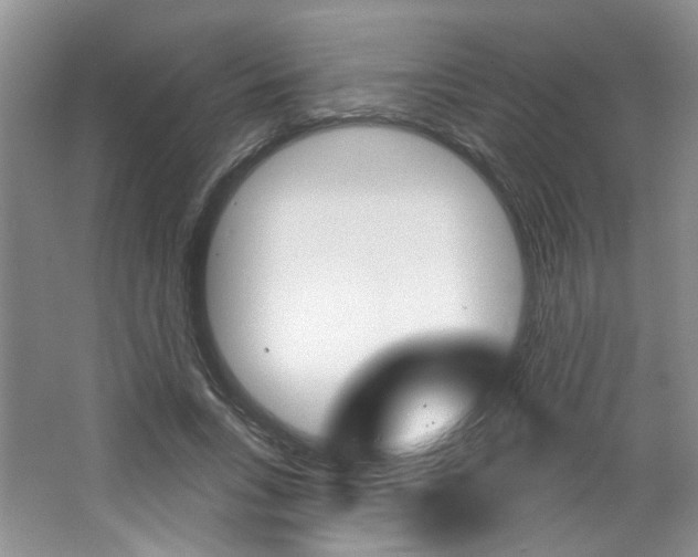 X0000064760735200602101027