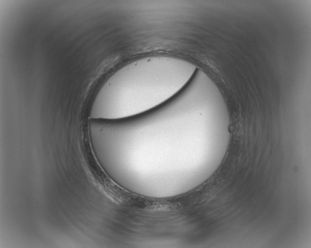 X0000064760738200602101027