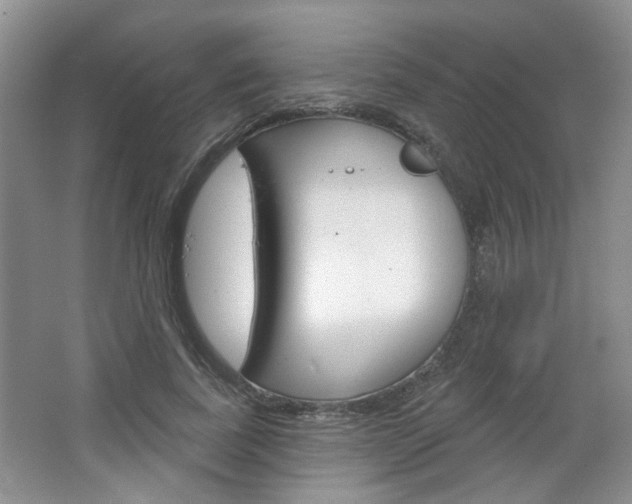 X0000064760739200602101027