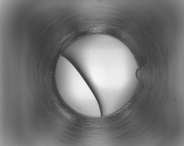 X0000064760741200602101027