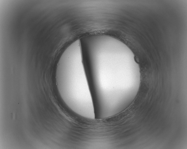 X0000064760742200602101027