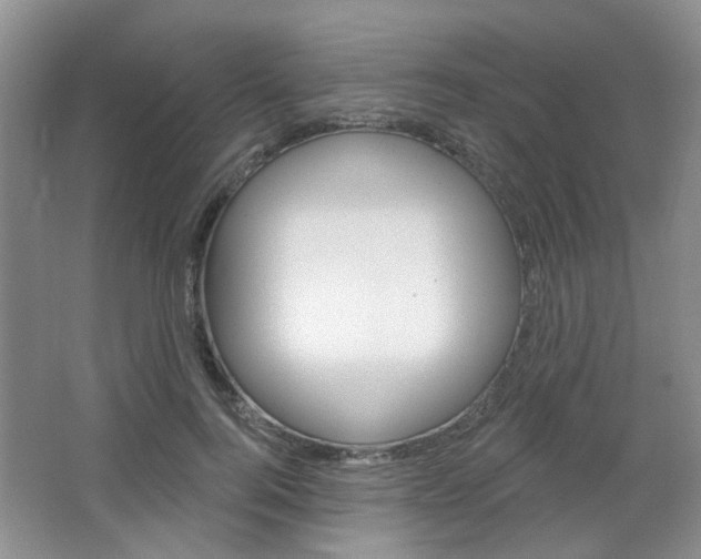X0000064760744200602101027