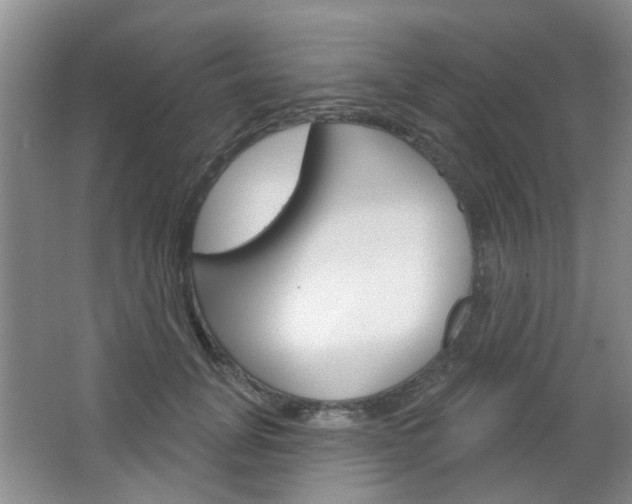 X0000064760751200602101027