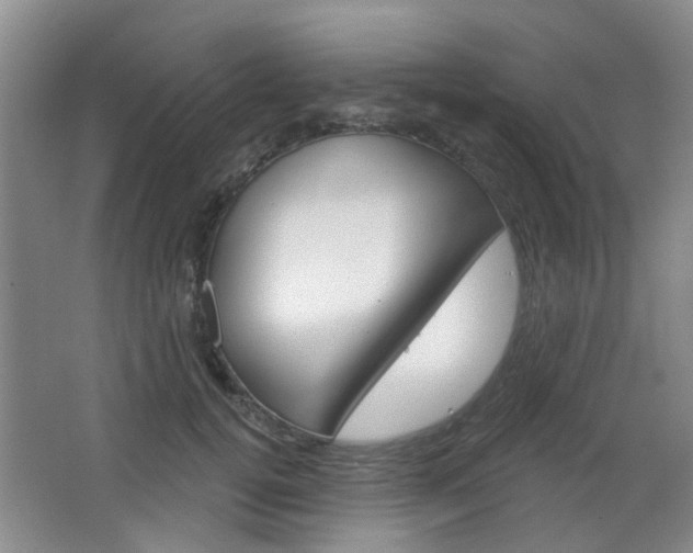 X0000064760752200602101027