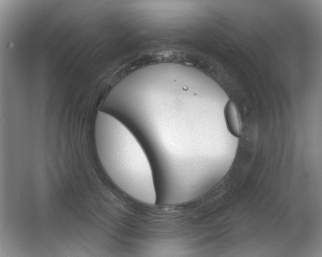 X0000064760754200602101027