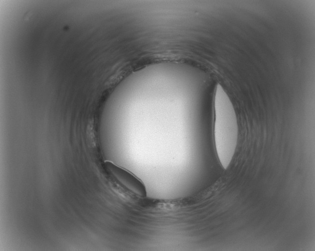 X0000064760764200602101027