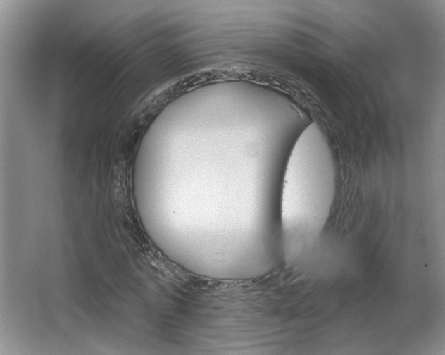 X0000064760773200602101026