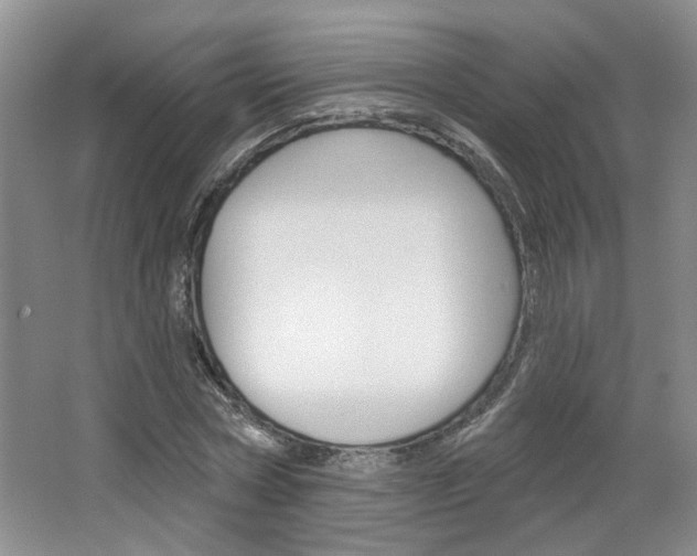 X0000064760778200602101026