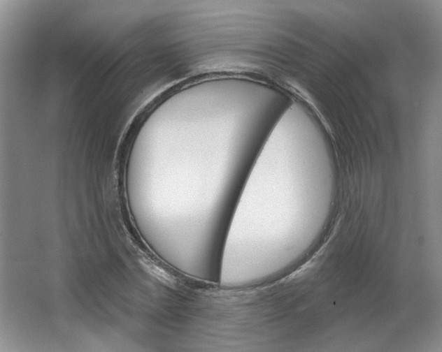 X0000064760779200602101026