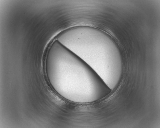X0000064760780200602101026