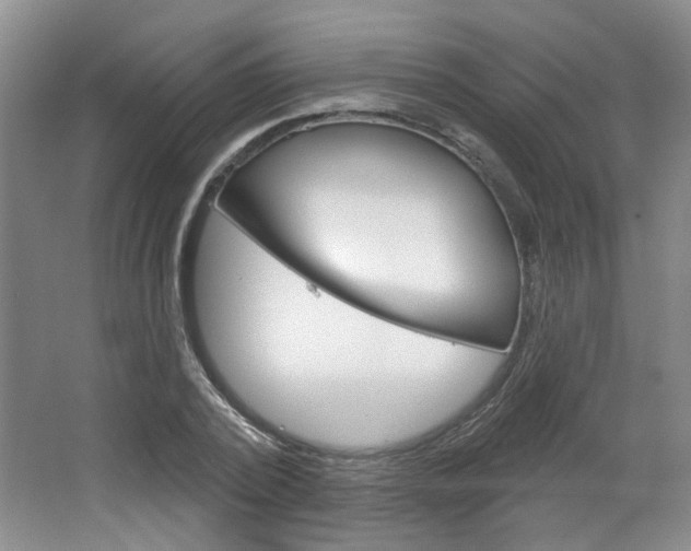 X0000064760784200602101026