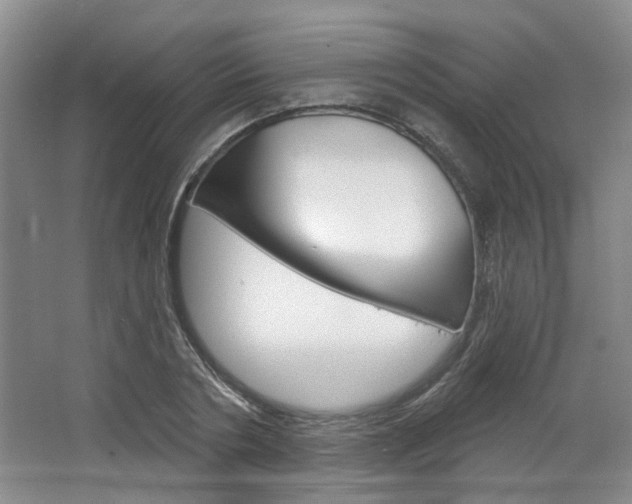 X0000064760786200602101026