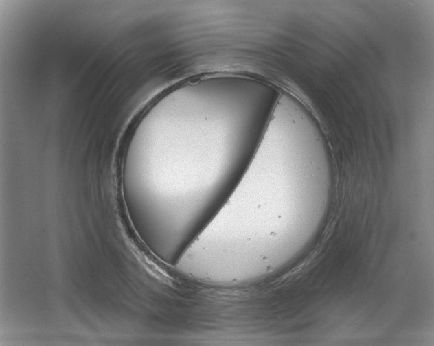 X0000064760787200602101026