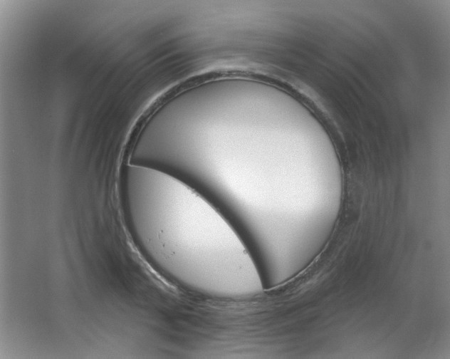 X0000064760791200602101026