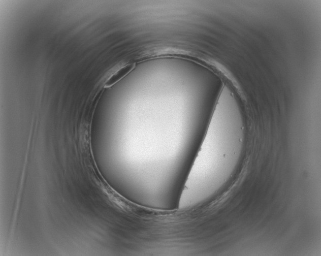 X0000064760793200602101026