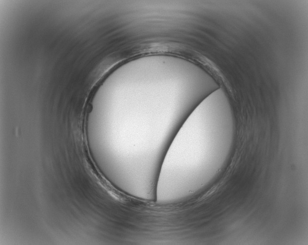 X0000064760794200602101026