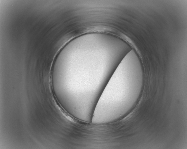 X0000064760802200602101026