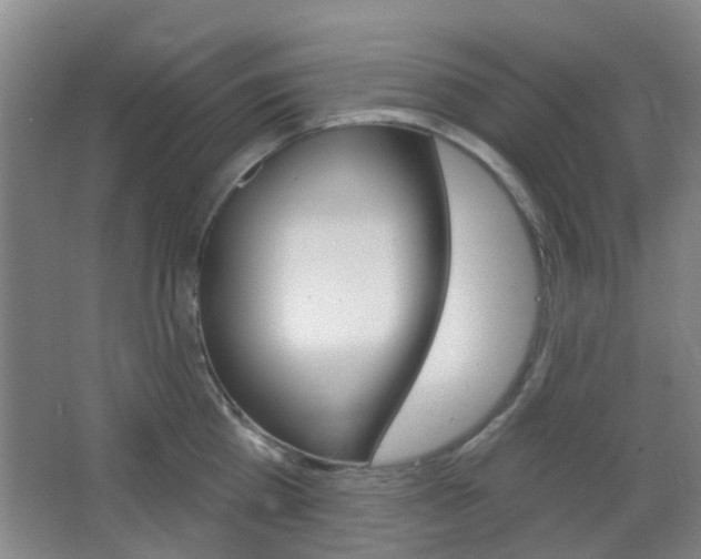 X0000064760809200602101026