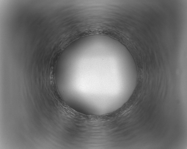 X0000064760818200602101025
