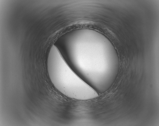 X0000064760821200602101025