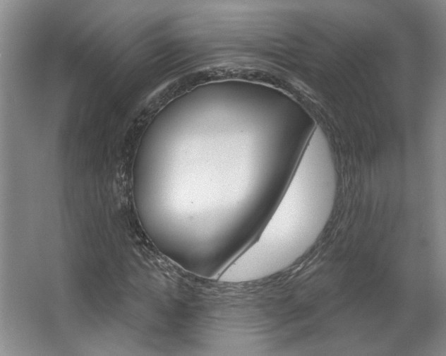 X0000064760822200602101025