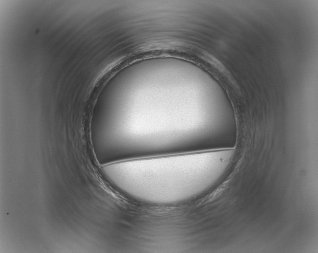 X0000064760826200602101025