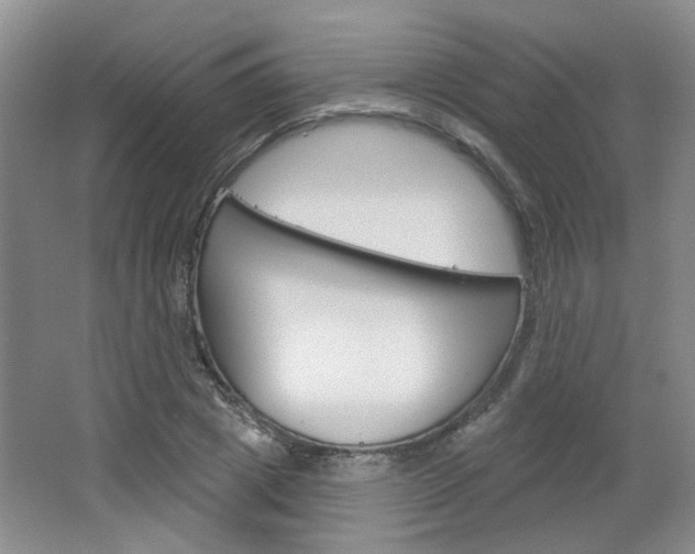 X0000064760833200602101025
