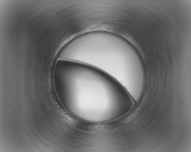 X0000064760834200602101025