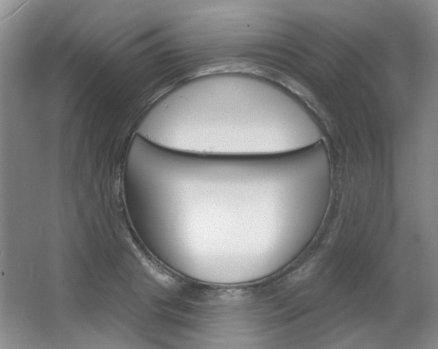 X0000064760841200602101025