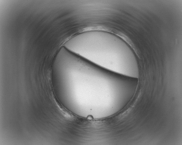X0000064760849200602101026