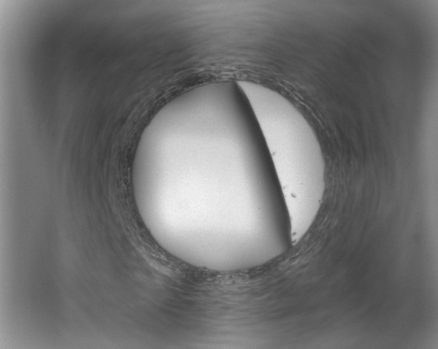 X0000064760865200602101025