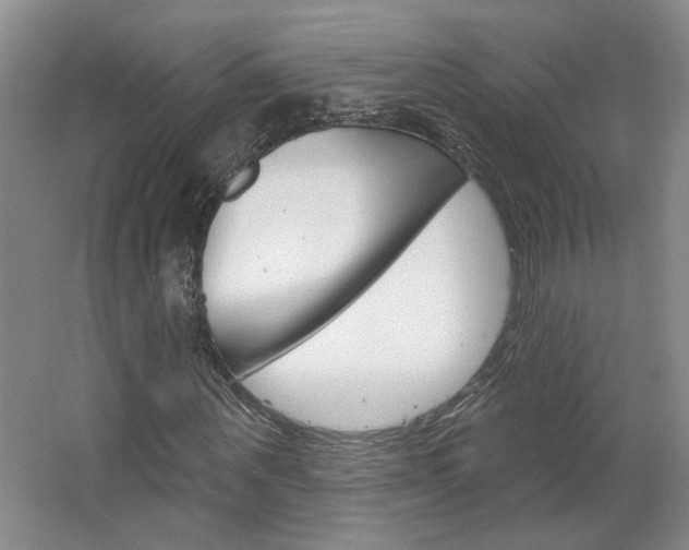X0000064760867200602101025