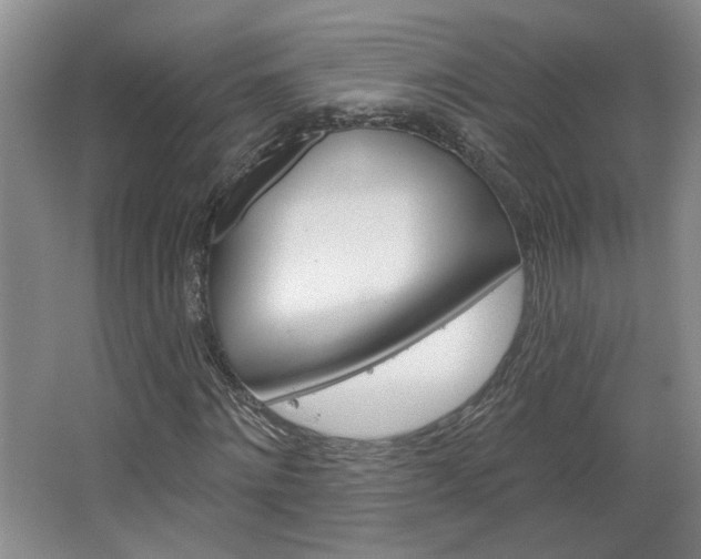 X0000064760868200602101025