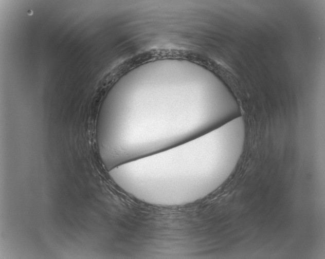 X0000064760870200602101025