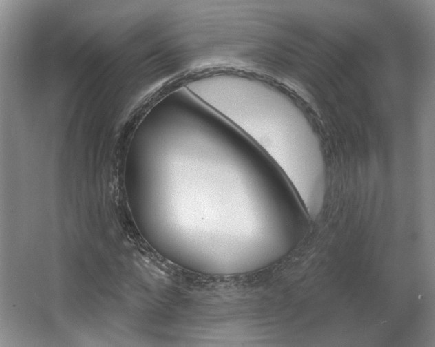 X0000064760872200602101025