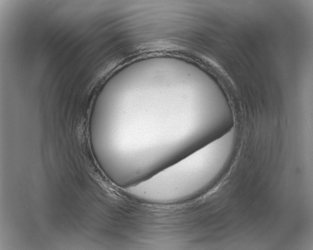 X0000064760873200602101025
