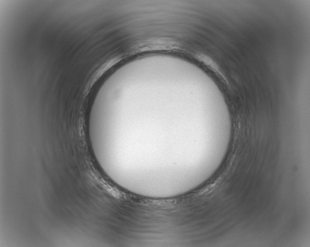 X0000064760874200602101025
