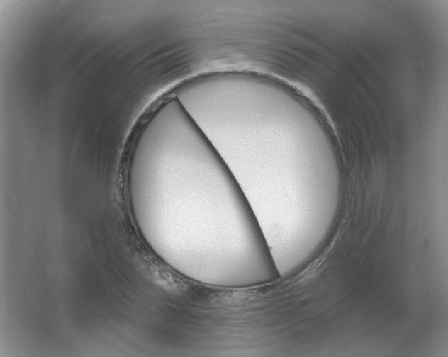 X0000064760879200602101025