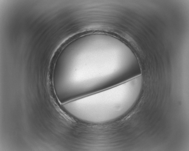 X0000064760880200602101025