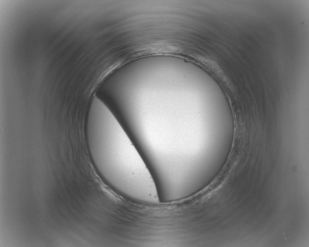 X0000064760889200602101025