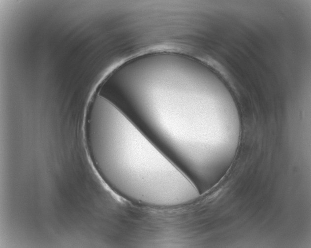 X0000064760902200602101024