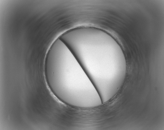 X0000064760903200602101024